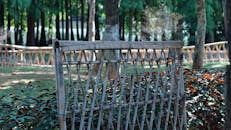 Bamboo Fence on a Garden
