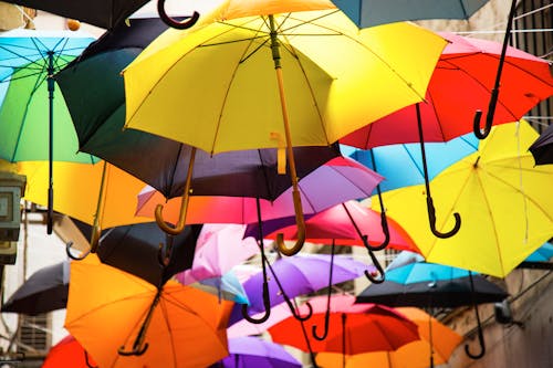 Free Assorted-colors Umbrella Stock Photo