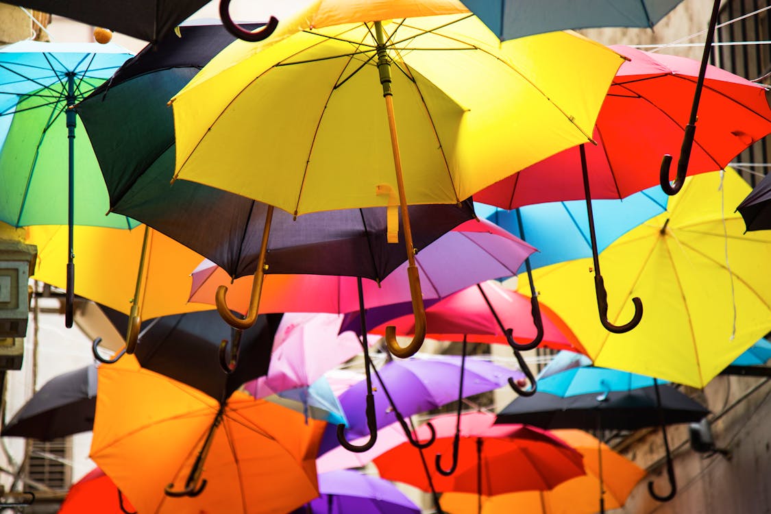 Regenschirm In Verschiedenen Farben