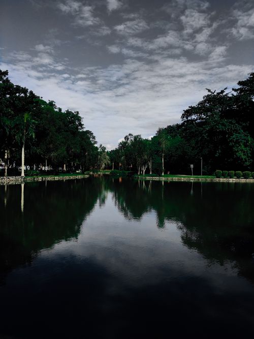 Free Serene lakeside view with trees and clear sky reflection during dusk, creating a tranquil atmosphere. Stock Photo