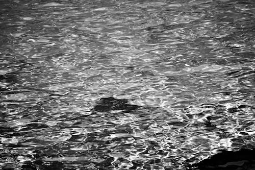 Grayscale Photo of Water