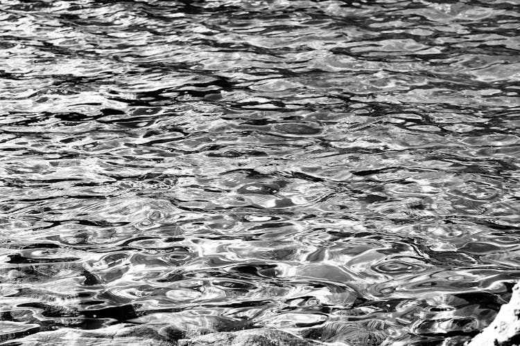 Monochrome Photo Of River Current