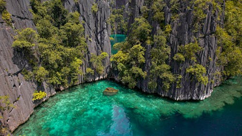 Green Trees Growing on Gray Rock Formations 