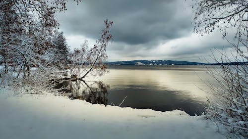 açık, ağaçlar, bitkiler içeren Ücretsiz stok fotoğraf