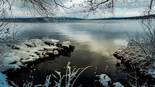 açık, ağaçlar, bitkiler içeren Ücretsiz stok fotoğraf