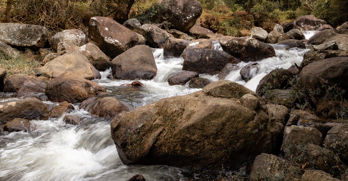 Rocks on Stream · Free Stock Photo