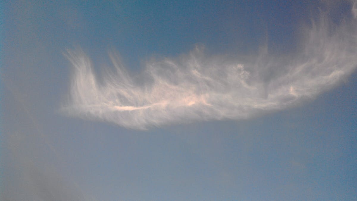 Assembled grain bowl with beans, greens, vegetables, and sauce drizzled on top