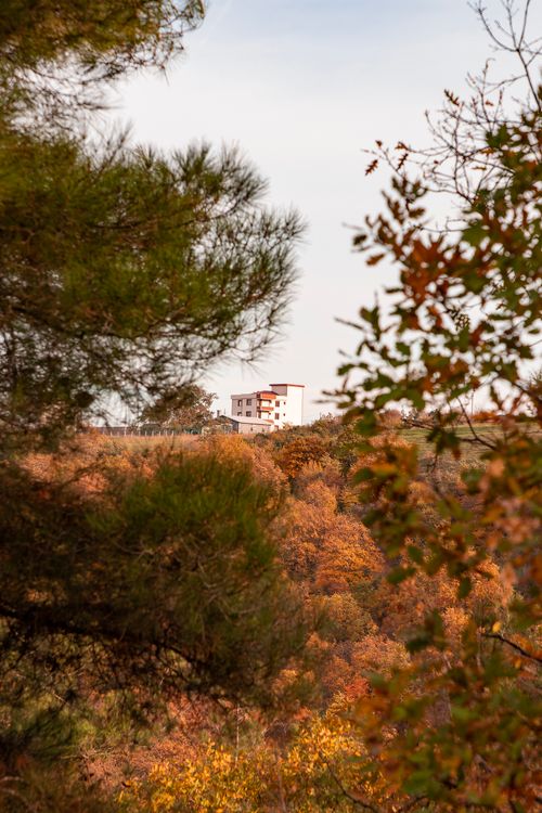 Free Scenic autumn view of an apartment building through trees in Samsun, Türkiye. Stock Photo