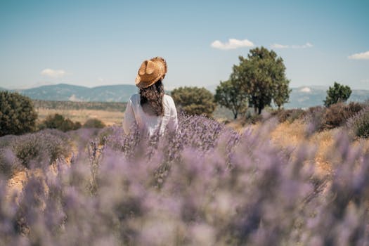 A woman wearing a straw hat stands amidst a blooming lavender field in Isparta, Türkiye.