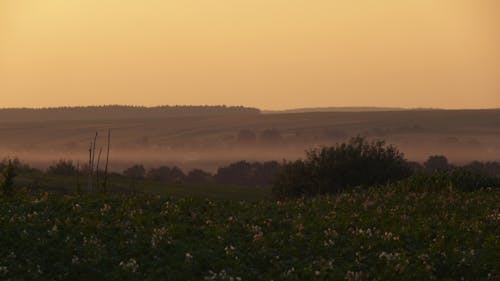 Foto d'estoc gratuïta de capvespre, natura, paisatge