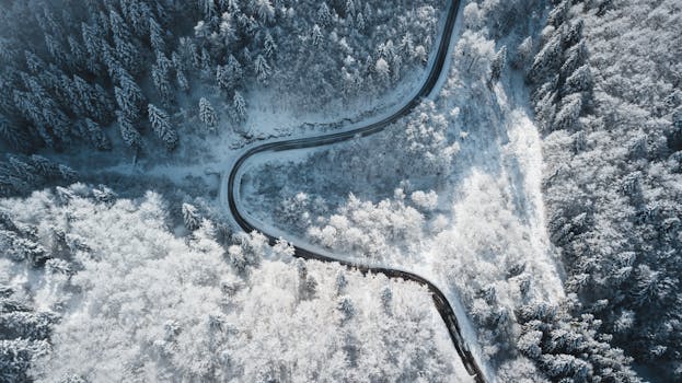 Aerial view of a winding road cutting through a snow-covered forest in winter.