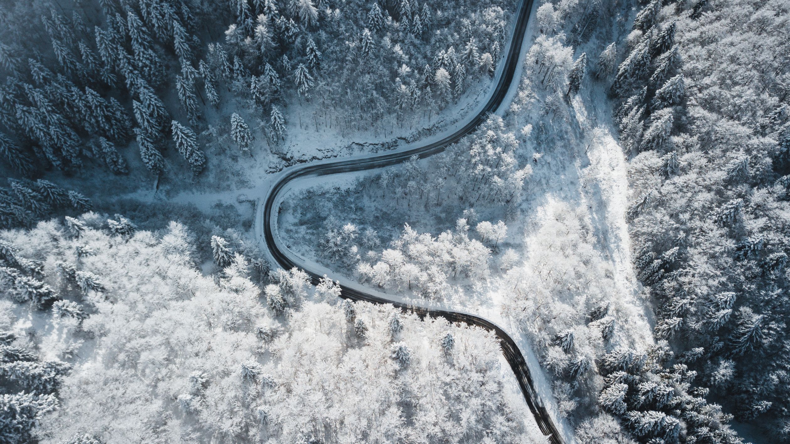 Aerial Photo of a Road and Forest in Winter · Free Stock Photo