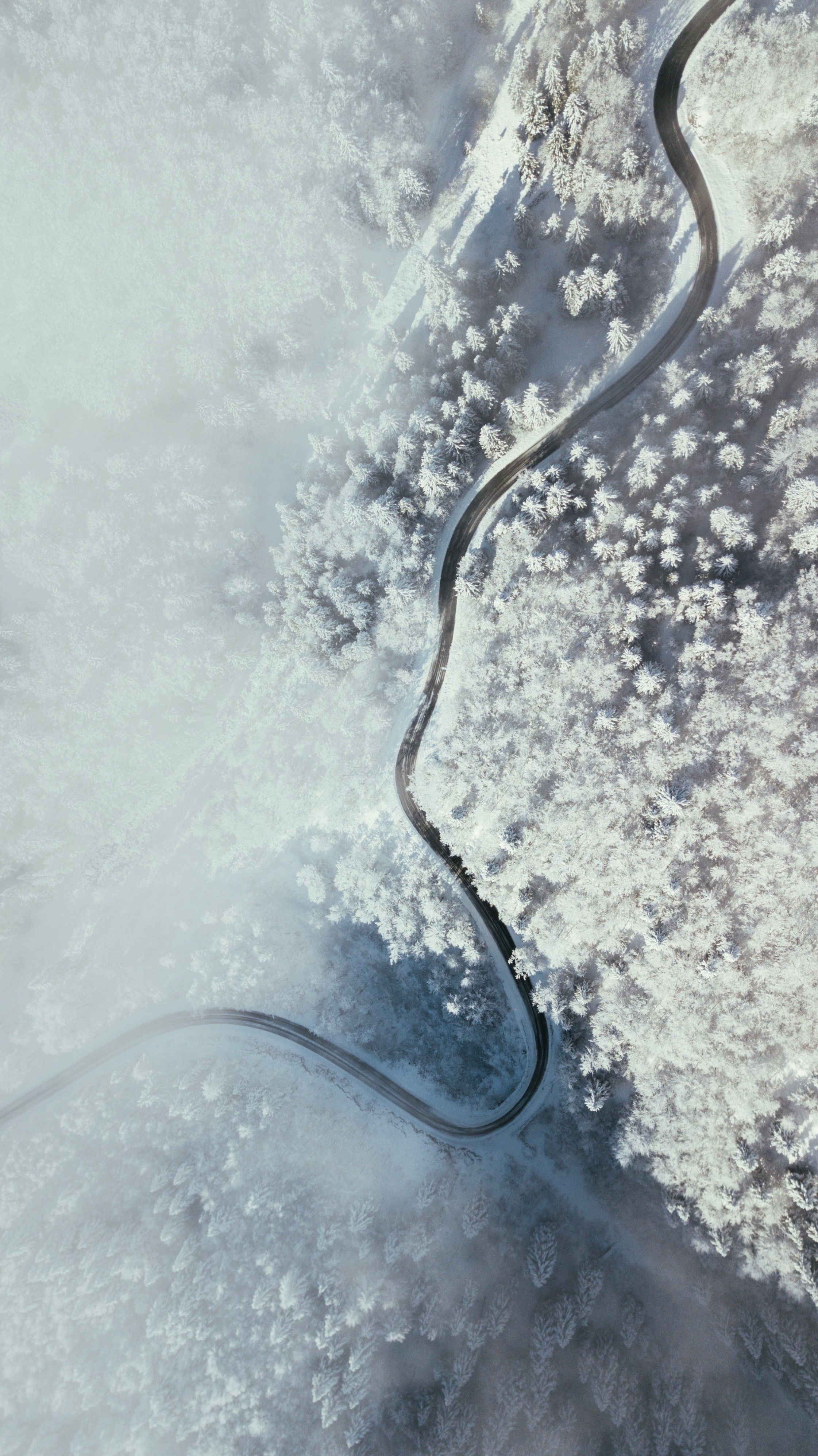 Aerial shot capturing a winding road through a snow-laden forest, epitomizing winter's serene beauty.