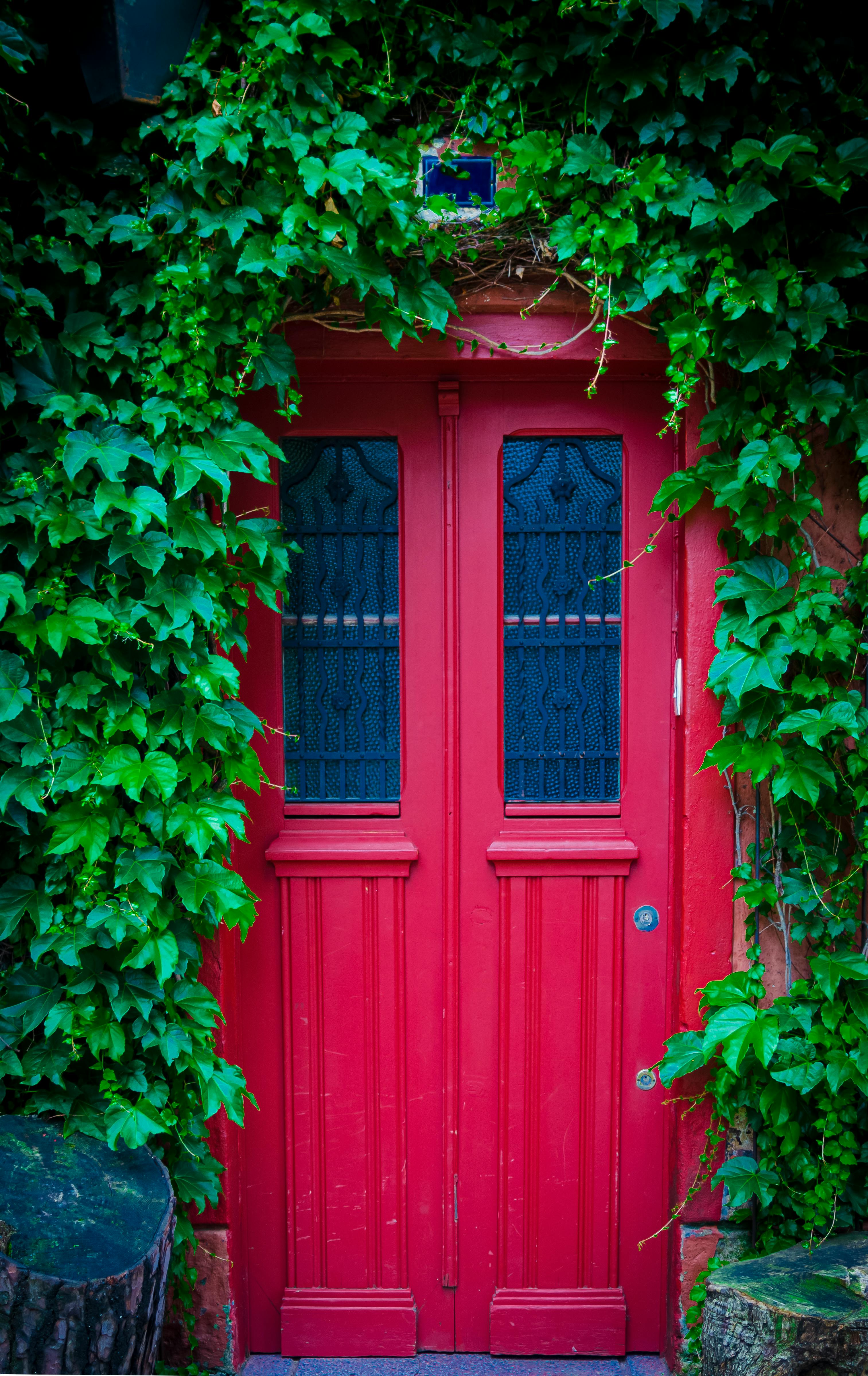 Apartment Building with Vines on the Walls · Free Stock Photo