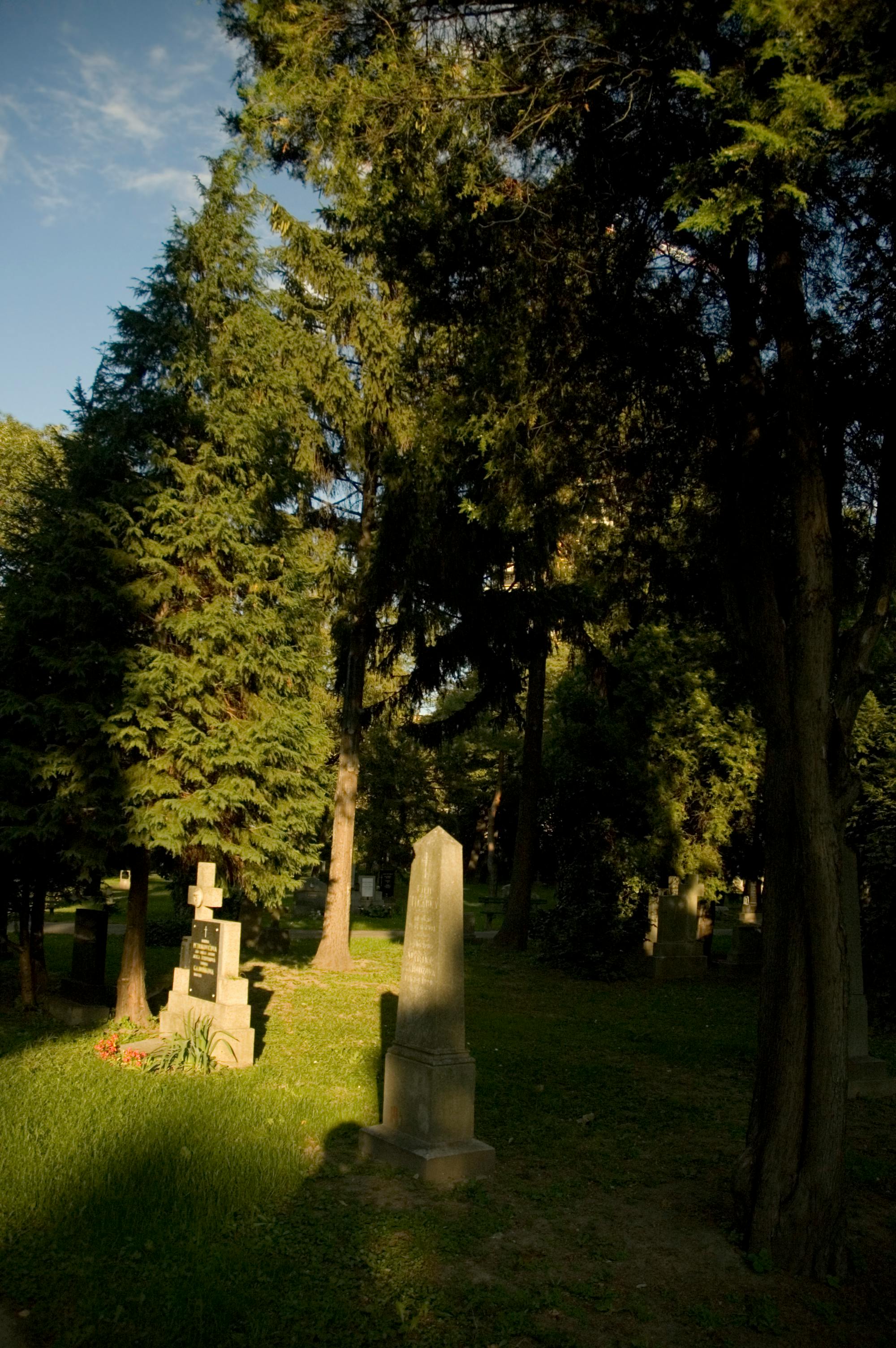 Trader analyzing crypto charts