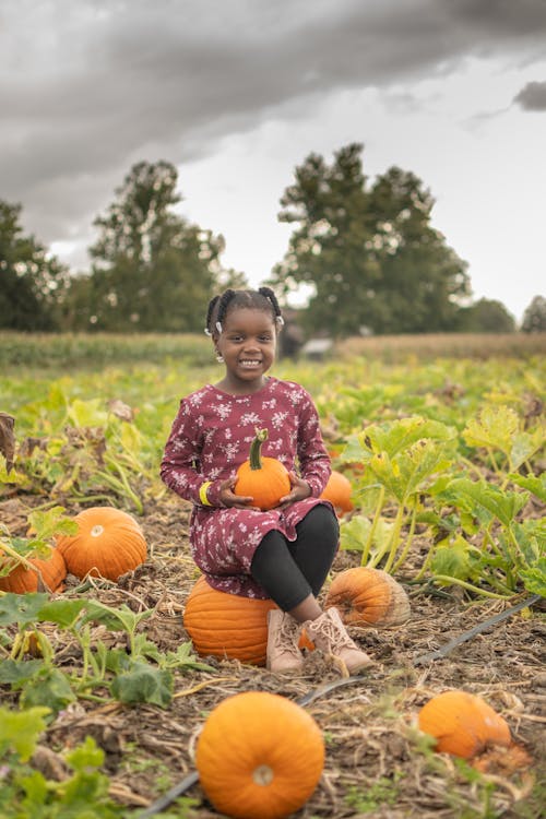 Cute Girl Sitting on the Pumpkins