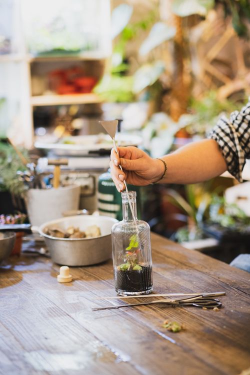 Free A person assembling a bottle terrarium with plants indoors on a wooden table, showcasing a DIY project. Stock Photo