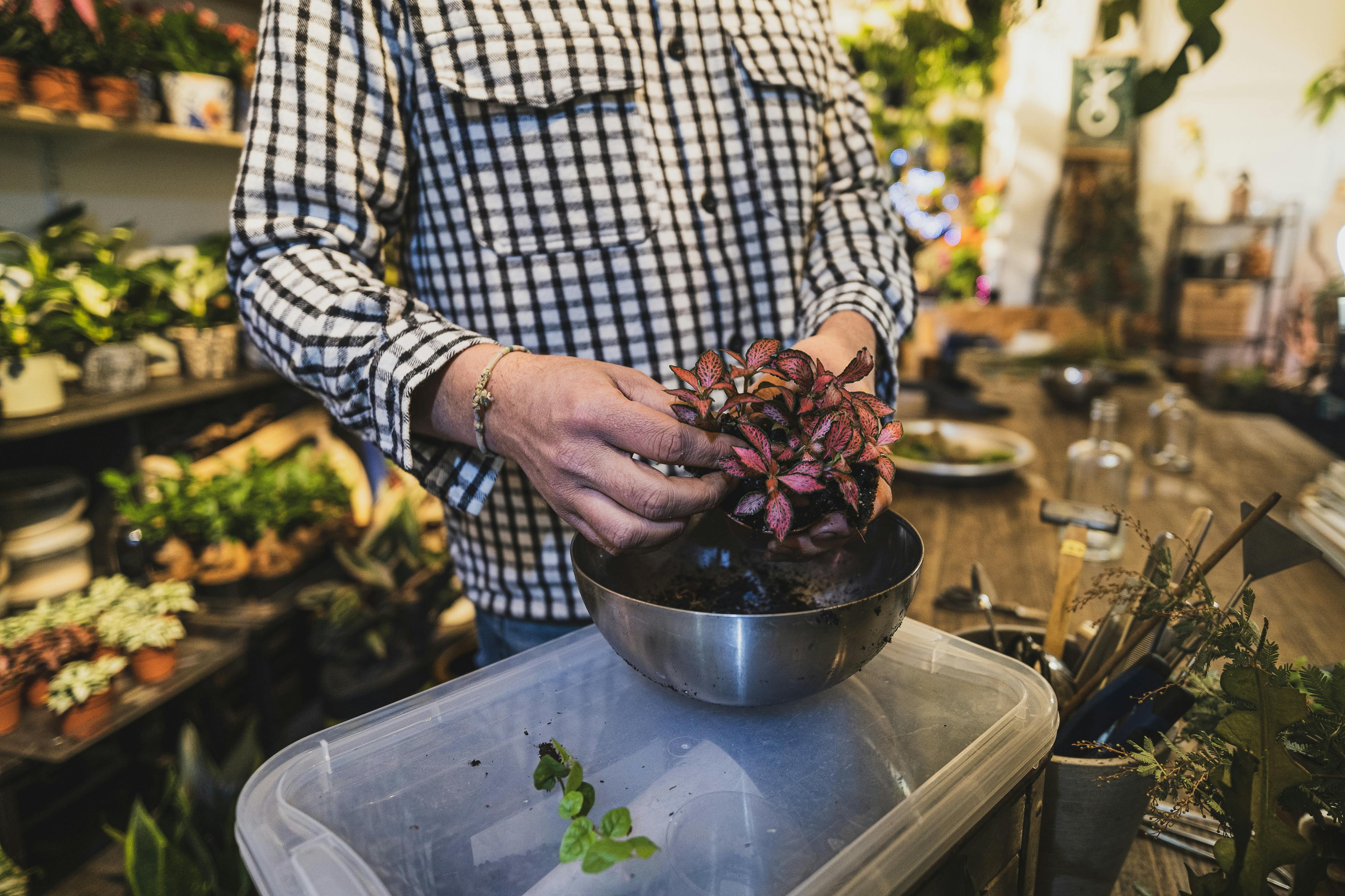 27 Best Gardening Tools for All Plant Parents, From Beginners to Experts — Photo by Tim Durand on Pexels