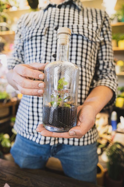 Free Close-up of person holding a glass bottle terrarium in a Parisian shop. Stock Photo