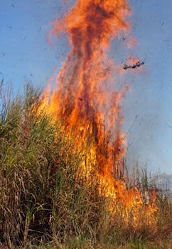 Intense wildfire engulfing dry grass under a clear sky in Palmas, Brazil.