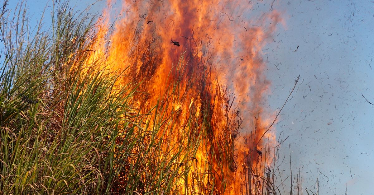 Grass Rfire Wild Grass on Fire · Free Stock Photo
