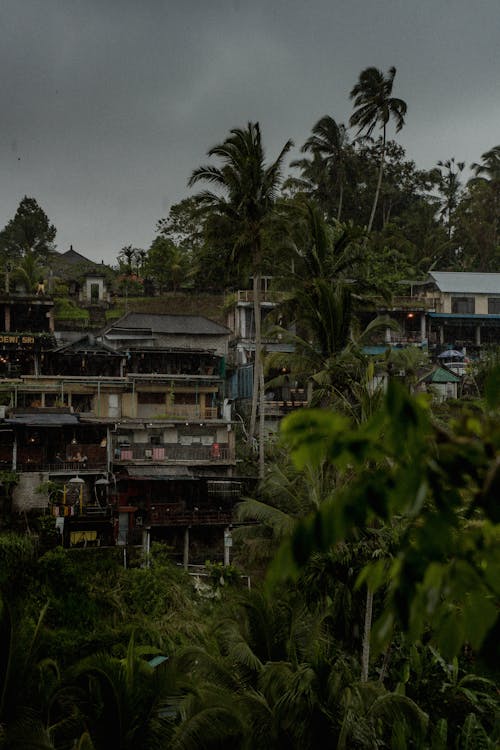 Houses in Tropical Village during Rainy Weather