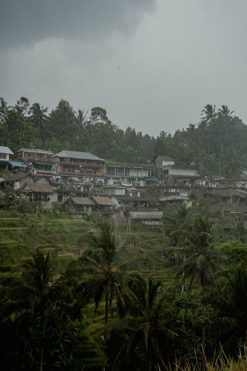 Tropical Village during Rainy Weather