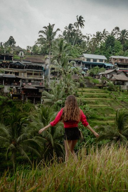 Tegalalang Rice Terraces: The Iconic Viewpoint Tegalalang Rice Terraces: The Iconic Viewpoint