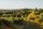 vineyard