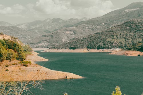 Imagine de stoc gratuită din apă curgătoare, codru, dealuri