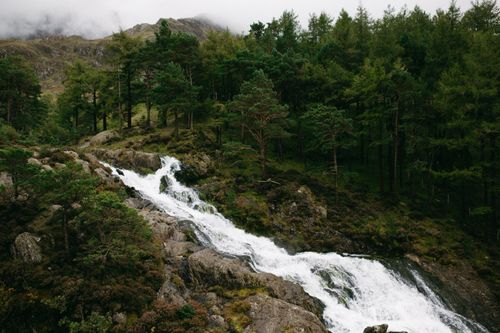 Free A tranquil waterfall cascading through a dense forest setting, offering a serene landscape. Stock Photo