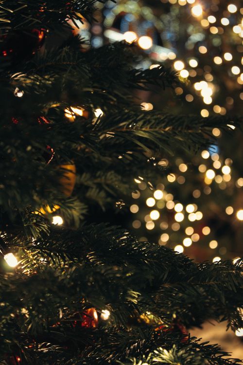 Free Close-up of a Christmas tree with glowing lights for a festive holiday atmosphere. Stock Photo