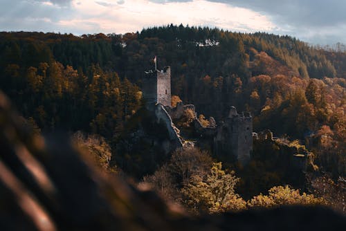 丘陵, 城堡, 森林 的 免费素材图片