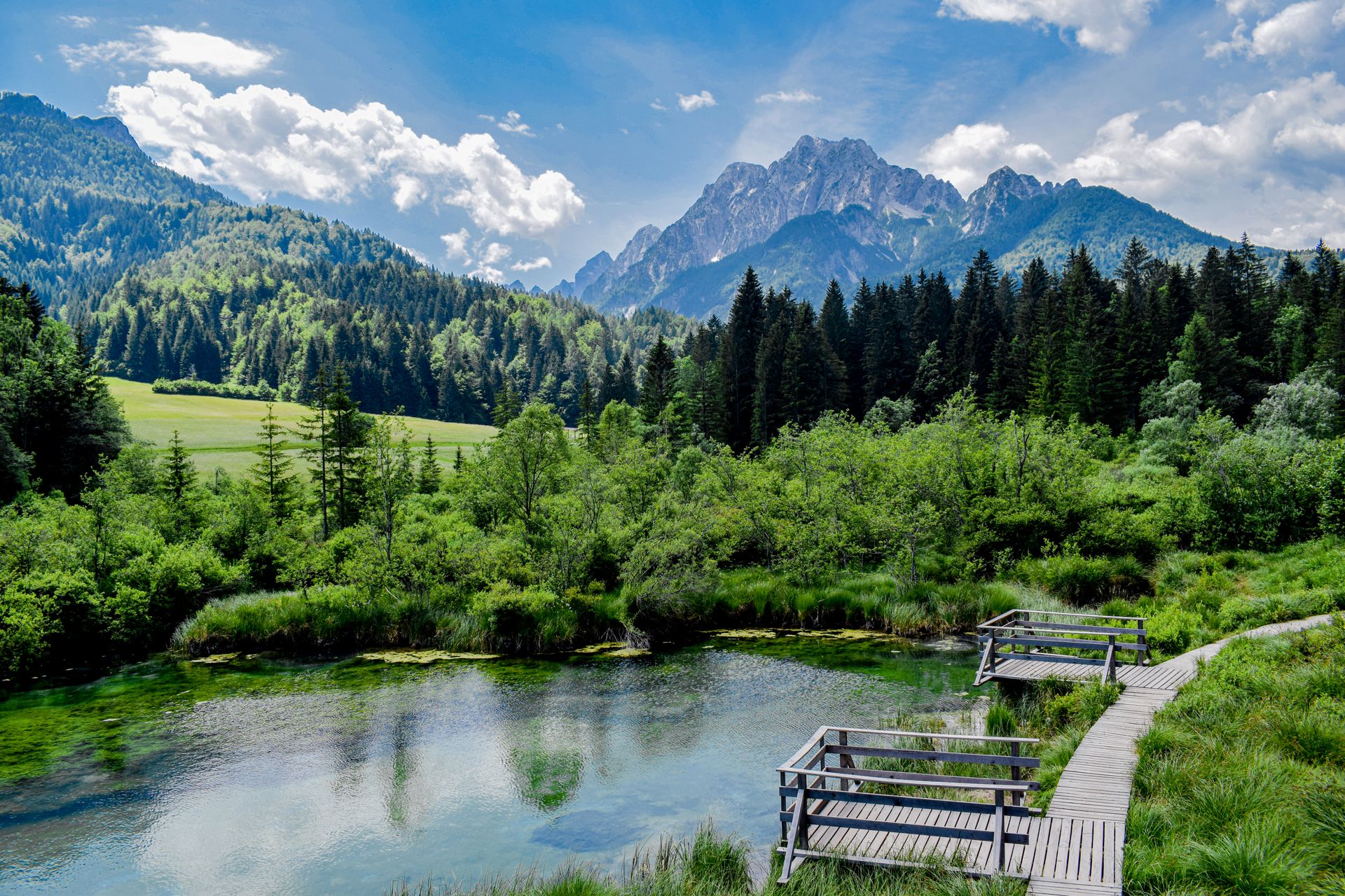 Viaje en grupo a Eslovenia
