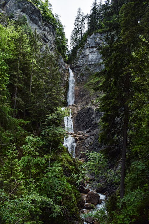 Бесплатное стоковое фото с вертикальный выстрел, водопад, глубокий