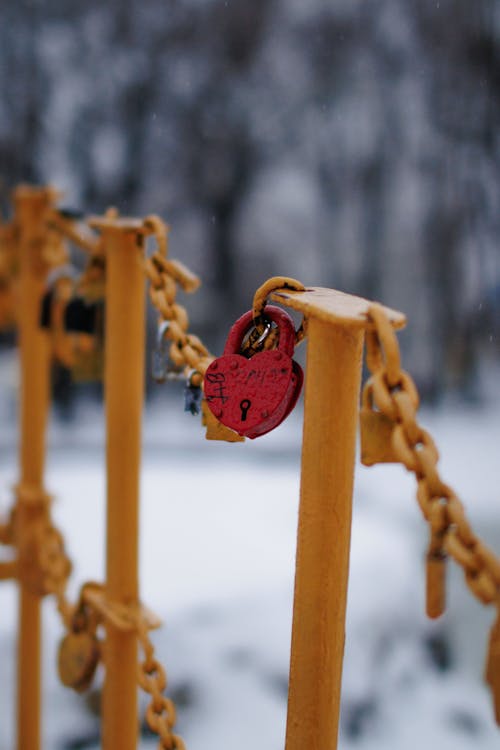 Heart Shaped Padlock Hanging on a Metal Chain Fence