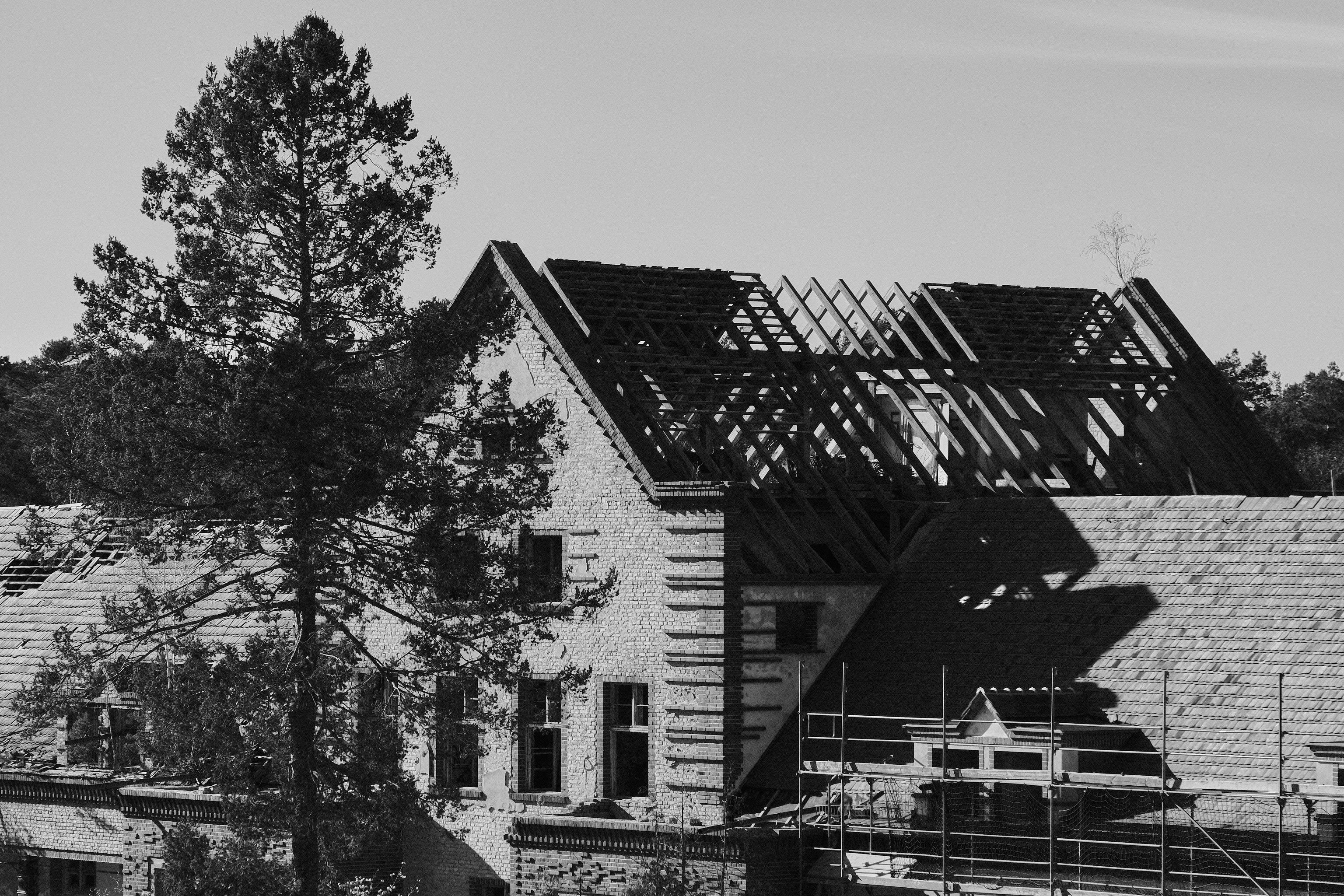 Irvington Craftsman cedar shake restoration Portland