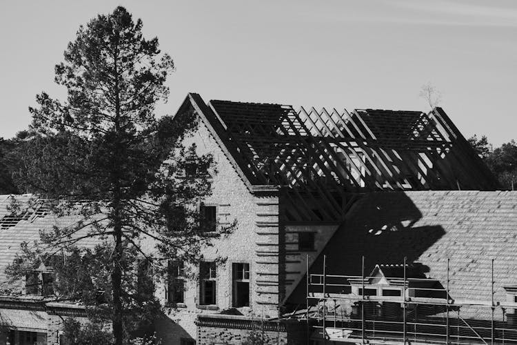 Grayscale Photo Of House Near The Tree