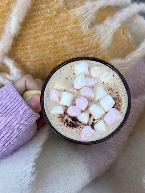 Fotobanka s bezplatnými fotkami na tému cappuccino, cukríky marshmallow, dezert