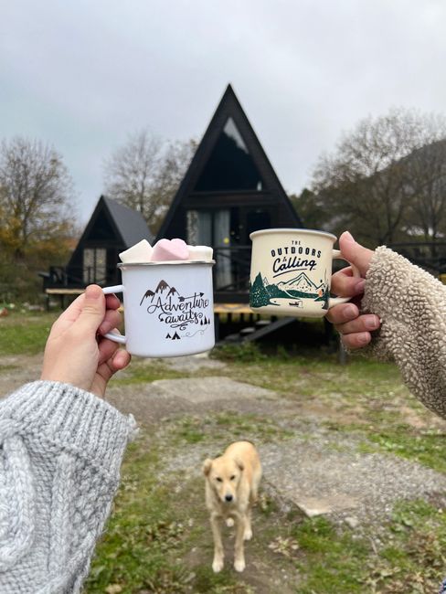Hands holding mugs with marshmallows, cozy cottage backdrop, friendly dog in focus.