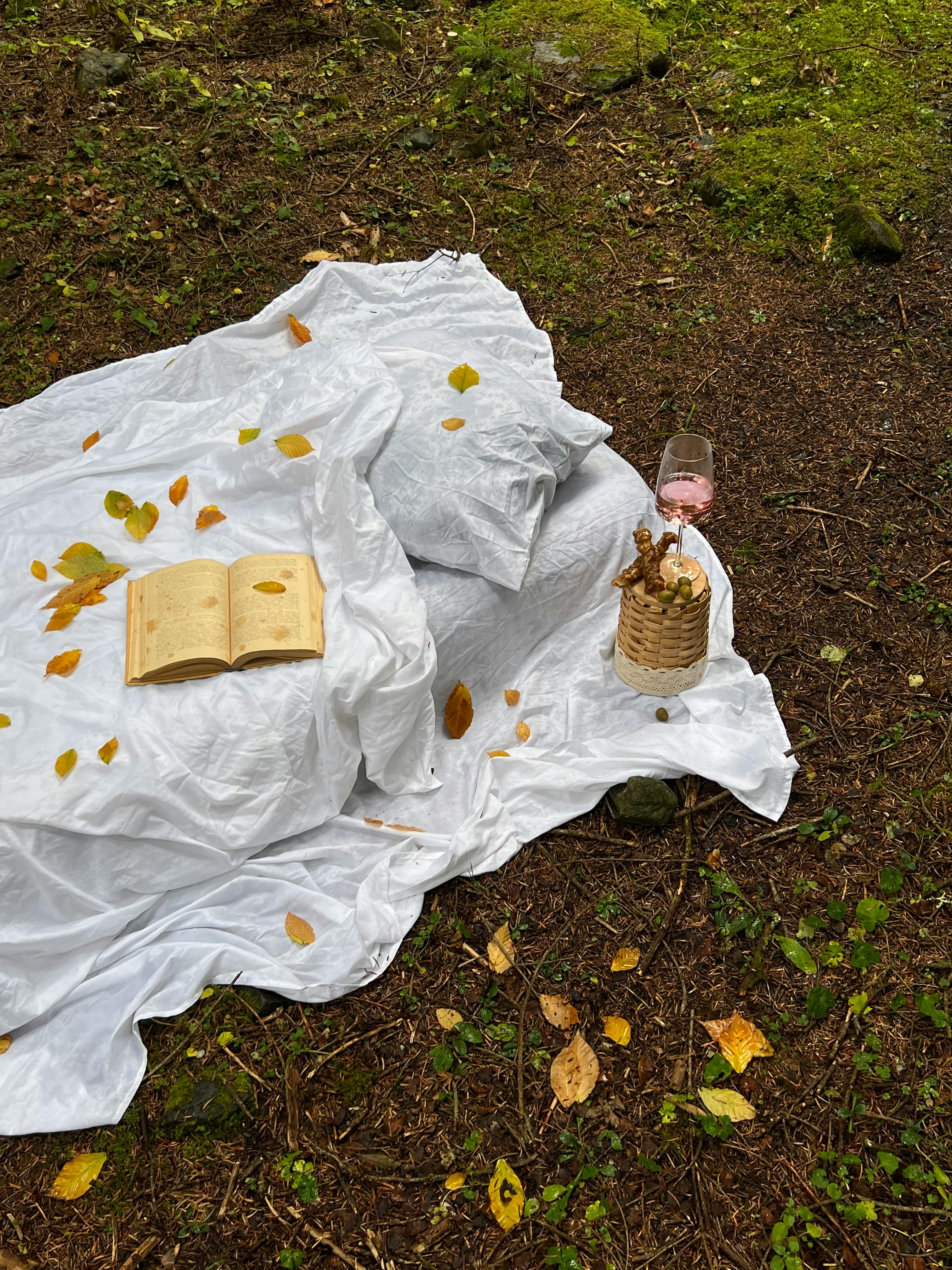 Autumn leaves on a picnic setting with book and wine glass. Perfect for a cozy outdoor reading day.