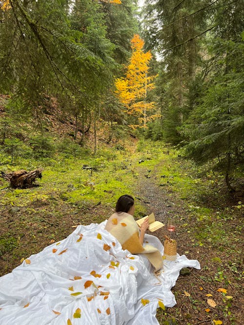 Woman Lying in Bed in Forest and Reading a Book 