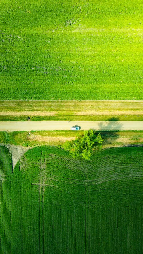 Gratis stockfoto met dronefoto, groen, luchtfotografie