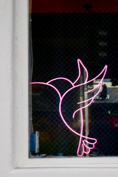 Bird Neon Sign on a Window