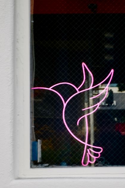 Pink neon bird sign glowing in a shop window — Sergey Korolev on Pexels