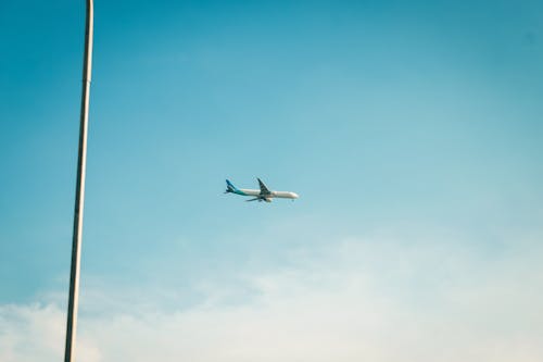 Free stock photo of airlines, airplanes, planes