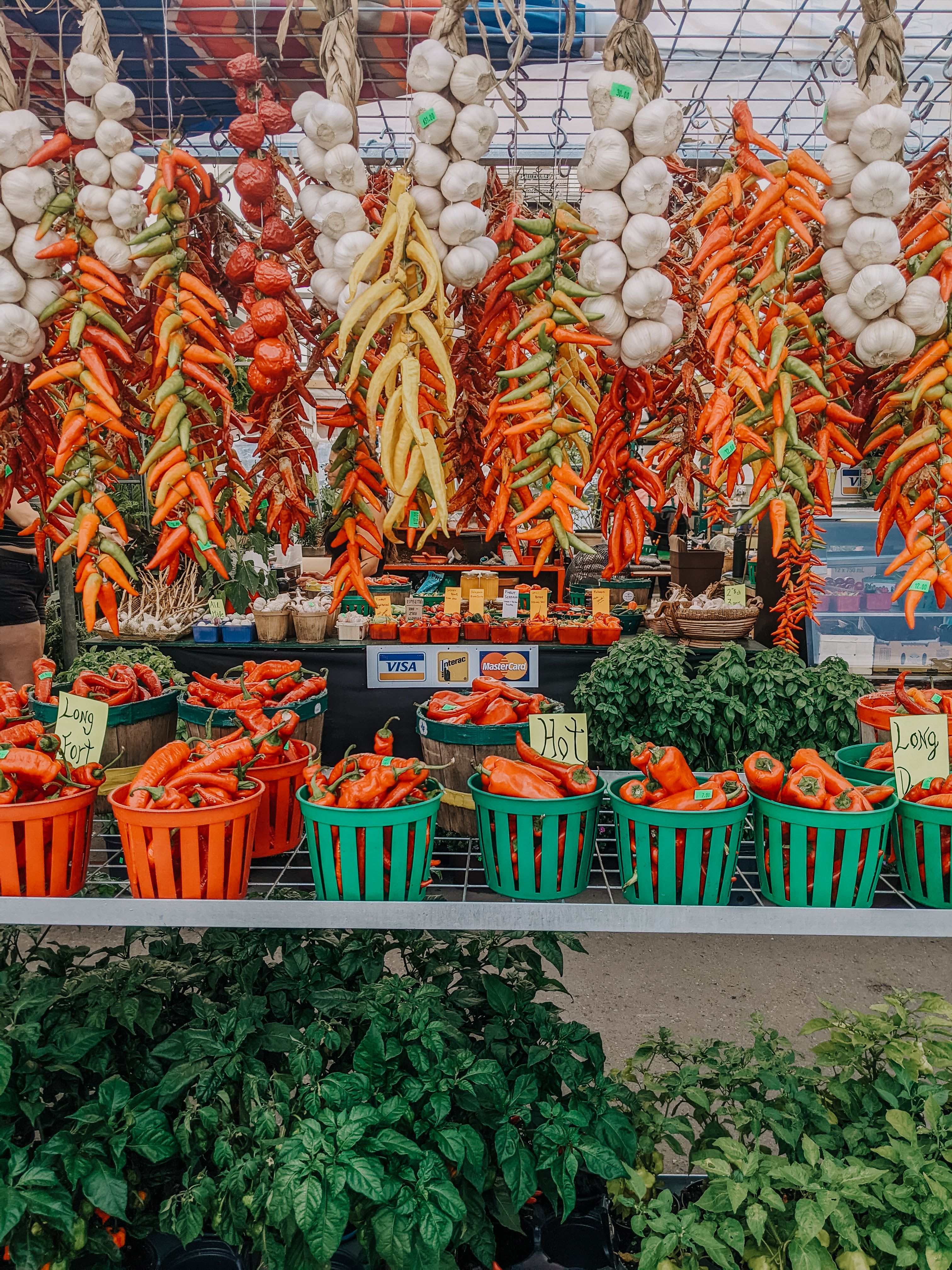 Jean-Talon Market