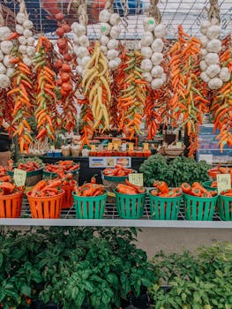 Vibrant selection of peppers and garlic hanging at an outdoor market in Montreal, Canada.