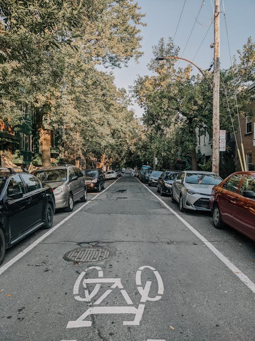 Cars Parked on the Side of the Street