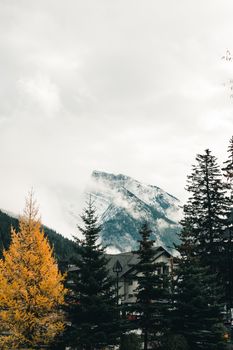 Snow-covered mountain peak with conifer trees in Banff, Alberta, Canada.